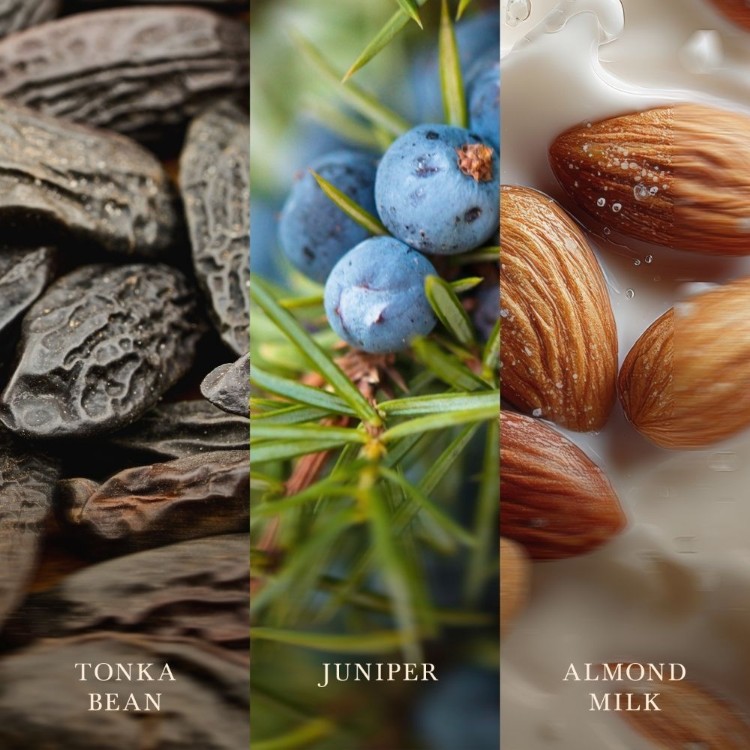 Immagine di Tonka & Almond Milk Medium Jar