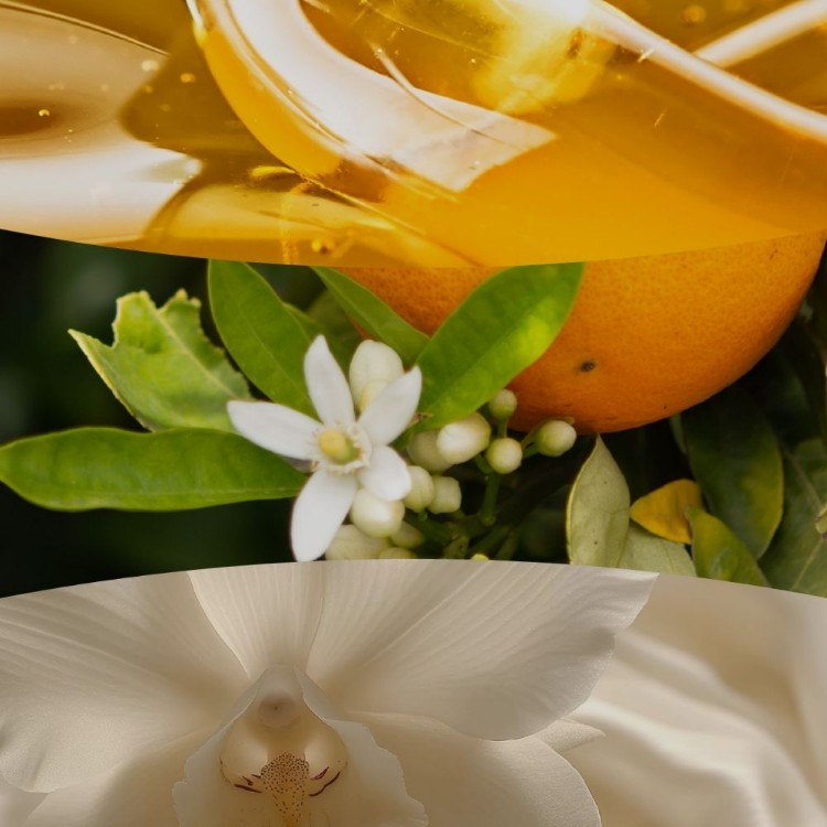Bild von White Honey Ellipse