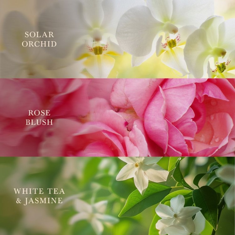 Bild von Floral Blossoms Trilogy Large Jar