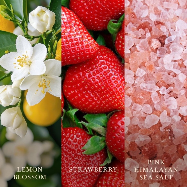 Immagine di Coastal Sunberry Ellipse