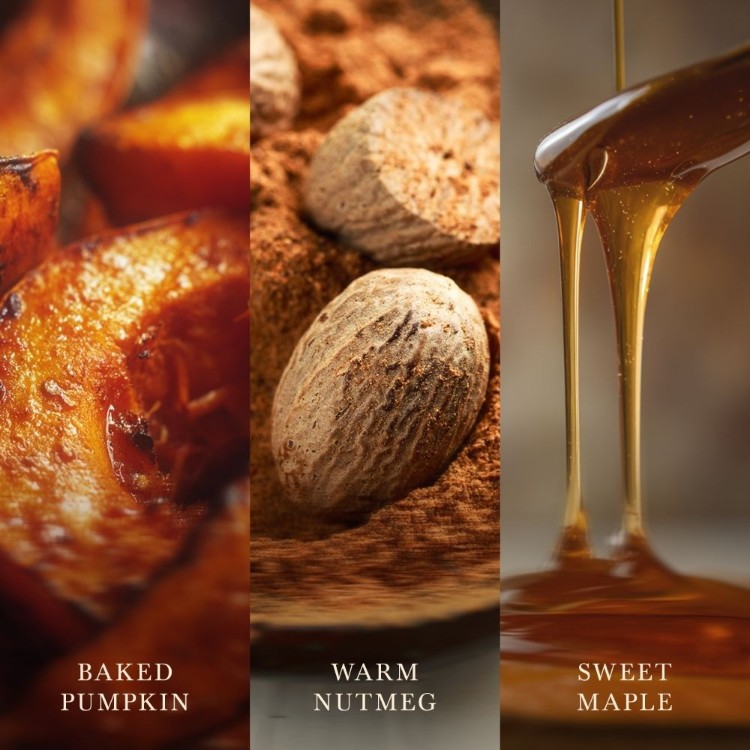 Image de Pumpkin Praline Ellipse