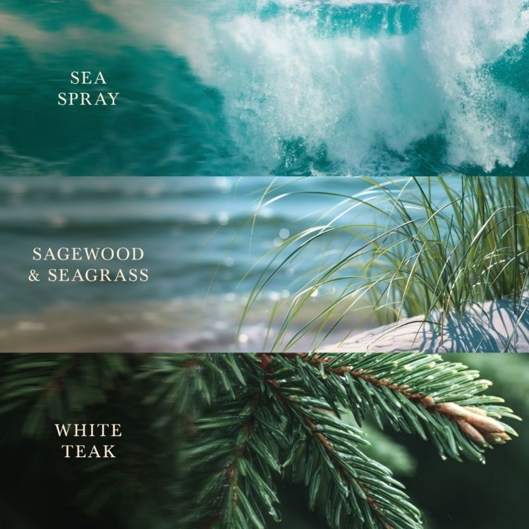 Immagine di Driftwood Shores Trilogy Ellipse