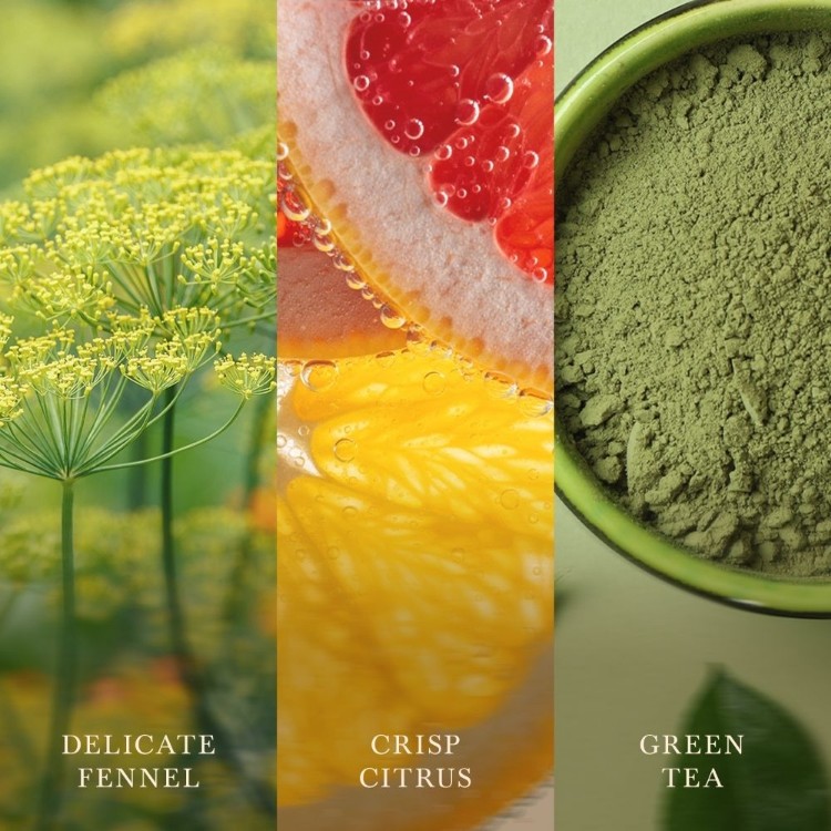 Immagine di Matcha Zest Medium Jar