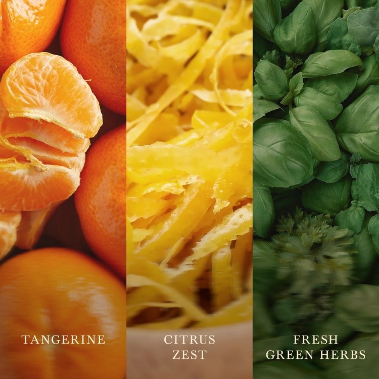 Bild von Tangerine & Citron Medium Jar