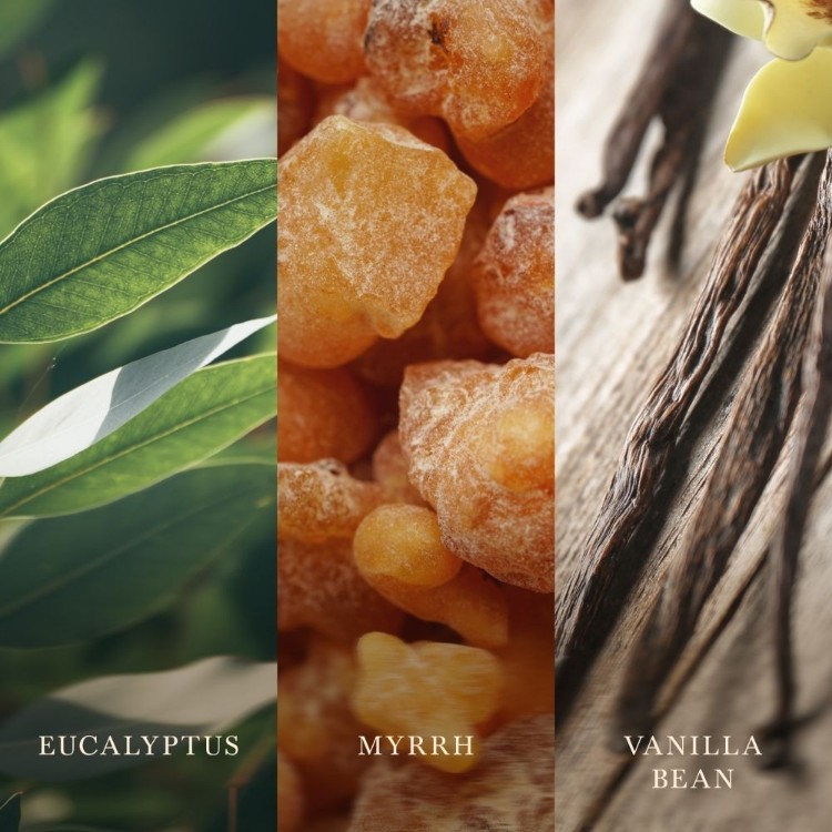 Immagine di Santal Myrrh Medium Jar