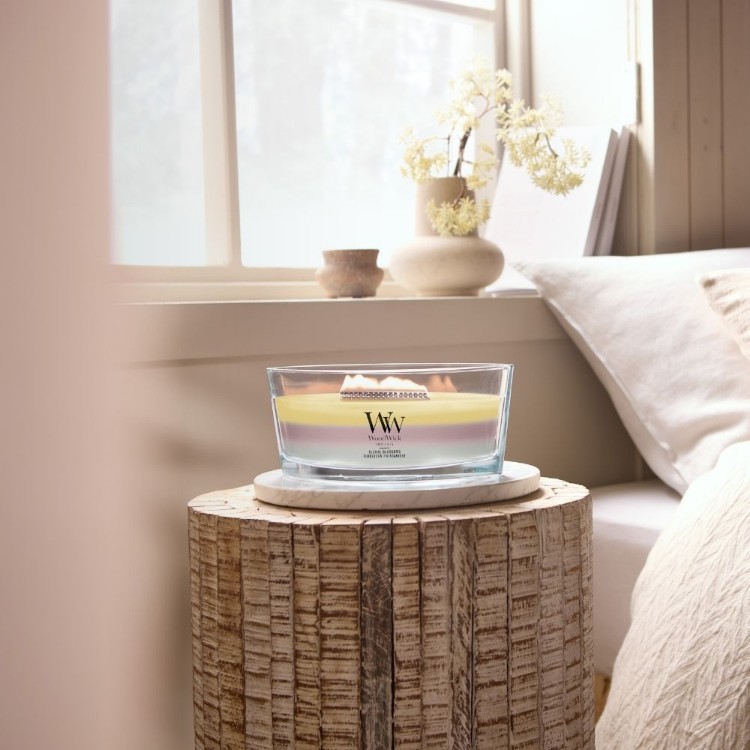 Image de Floral Blossoms Trilogy Ellipse