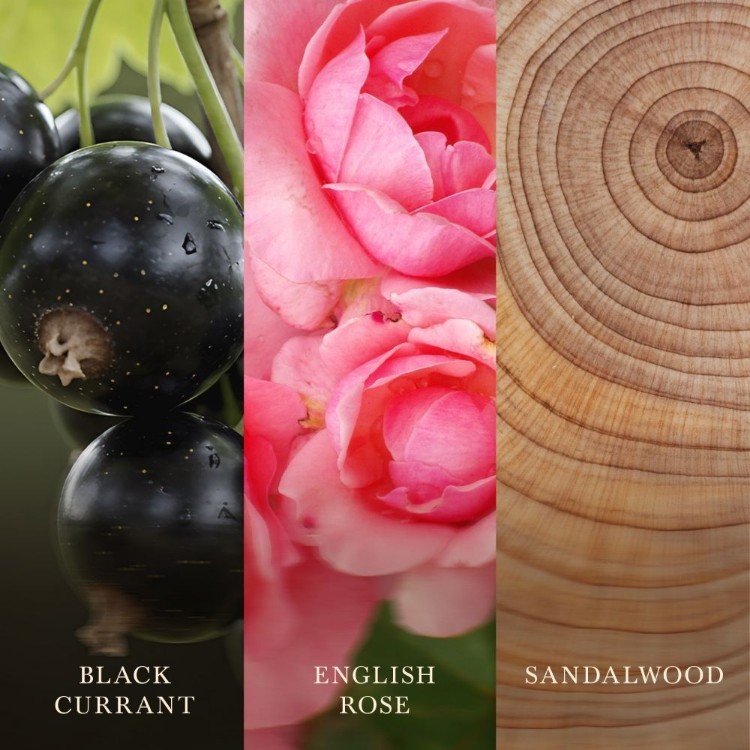 Immagine di Rose Blush Medium Jar