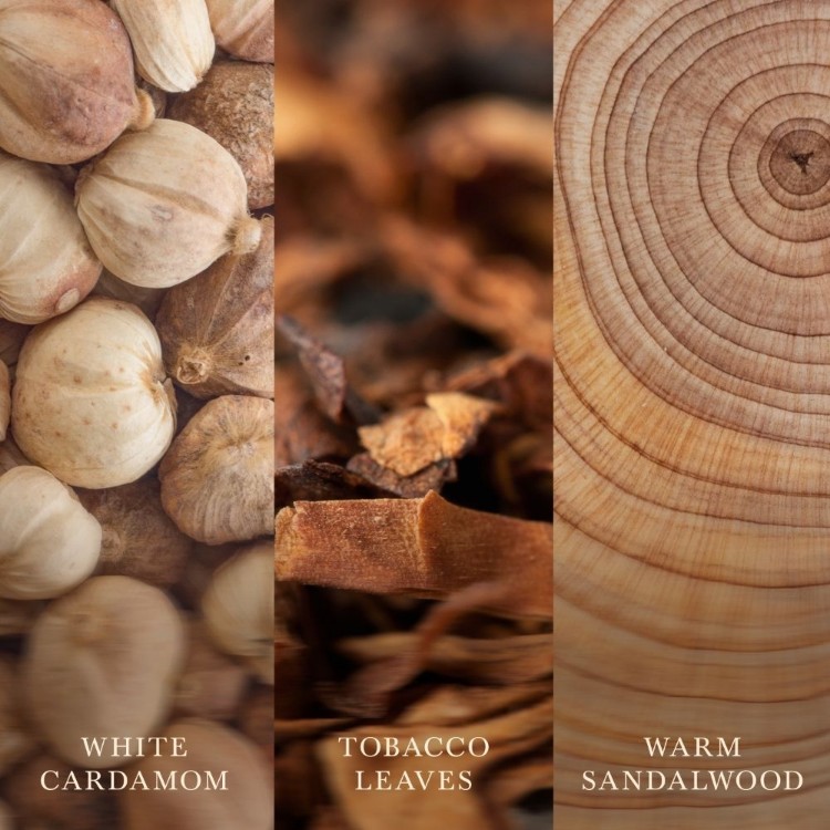 Immagine di Iris Woods Medium Jar