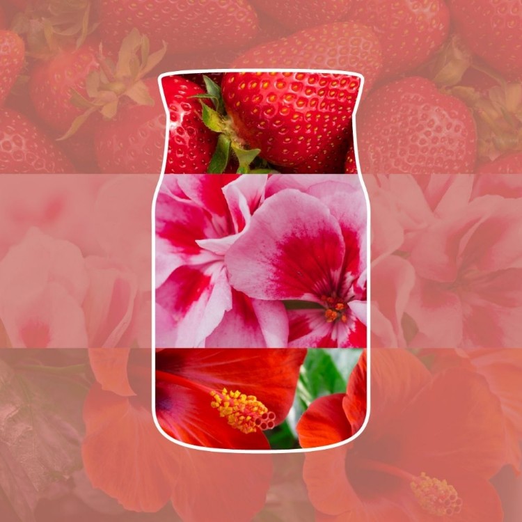 Immagine di Cliffside Sunrise Signature Filled Votive