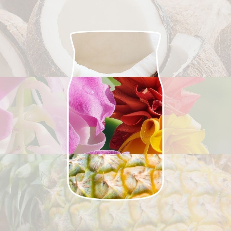 Bild von Coconut Beach Signature Medium Jar