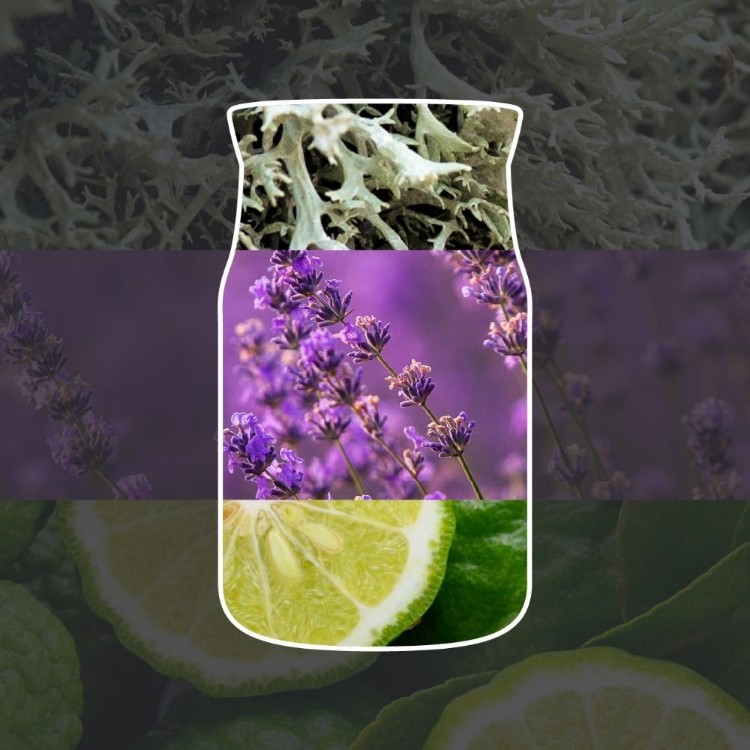 Image de Midsummers Night Signature Filled Votive