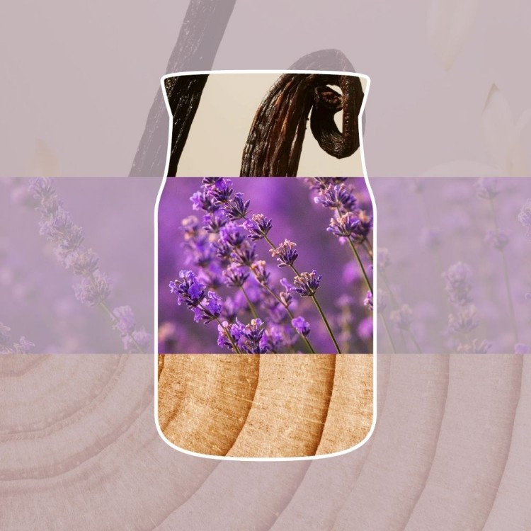 Bild von Dried Lavender & Oak Signature Filled Votive