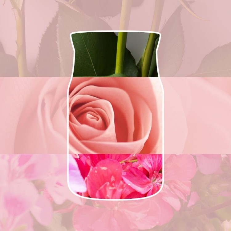 Immagine di Fresh Cut Roses Signature Filled Votive
