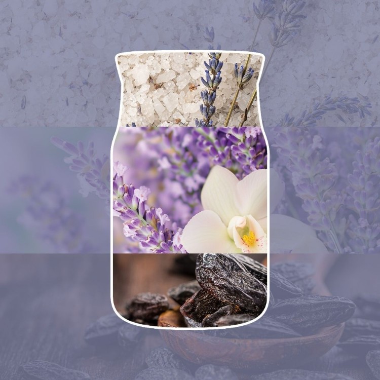 Image de Lavender Vanilla Signature Large Jar