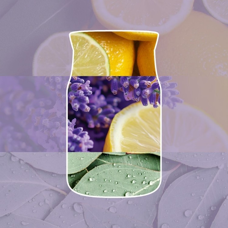 Bild von Lemon Lavender Signature Small Tumbler