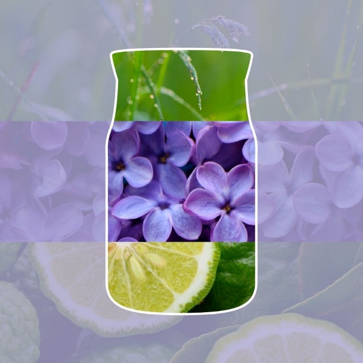 Image de Lilac Blossoms Signature Wax Melts