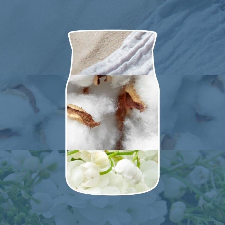 Bild von Ocean Air Signature Reed Diffuser 100ml