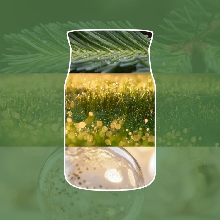 Immagine di Shimmering Christmas Tree Signature Filled Votive