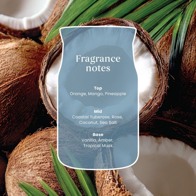 Bild von Salted Coconut Signature Filled Votive