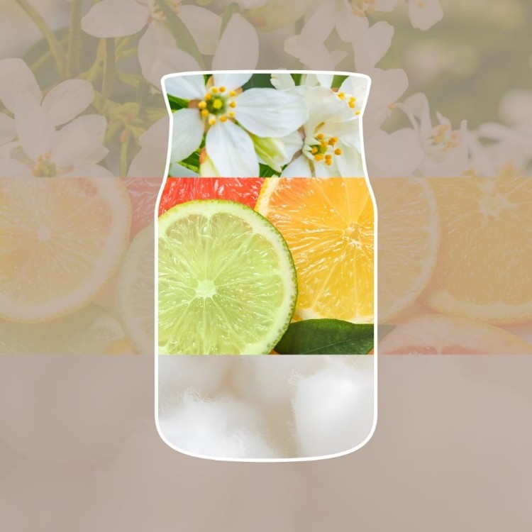 Bild von Seaside Woods Signature Medium Jar