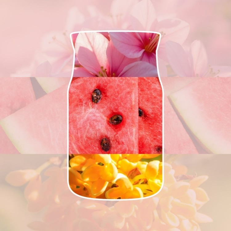 Image de Pink Sands Electric Fragrance Starter Kit