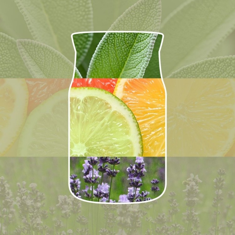 Bild von Sage & Citrus Signature Small Jar