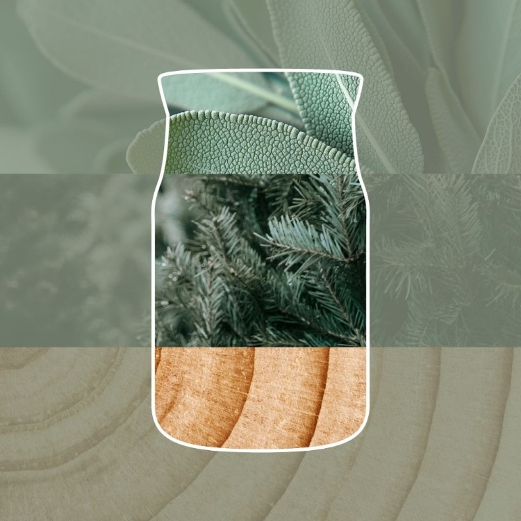 Image de Silver Sage & Pine Signature Medium Jar