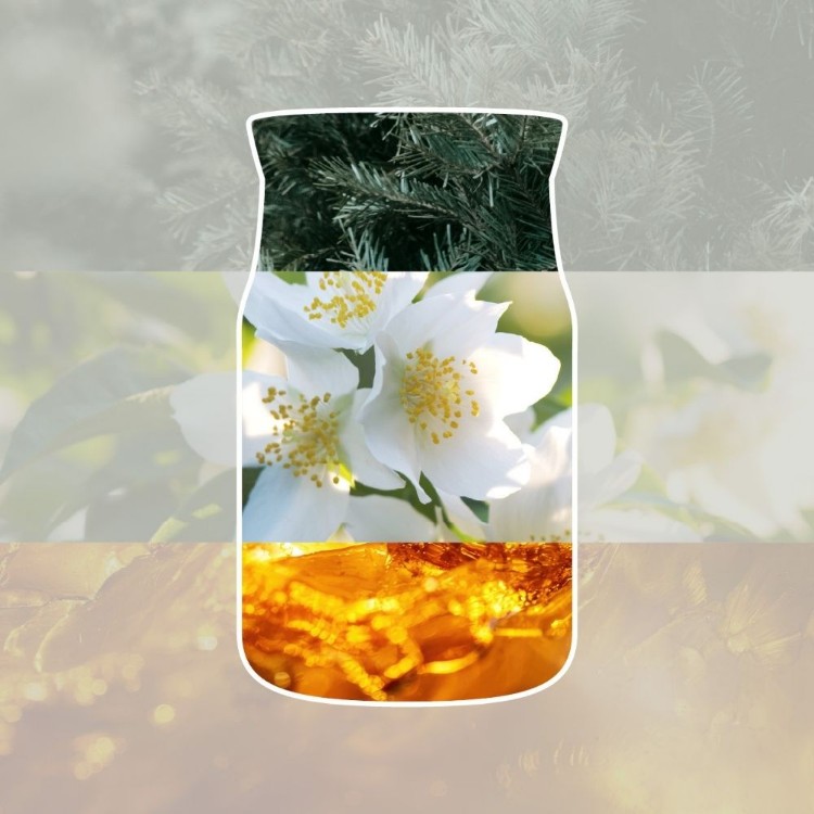 Immagine di Silver Birch Signature Filled Votive