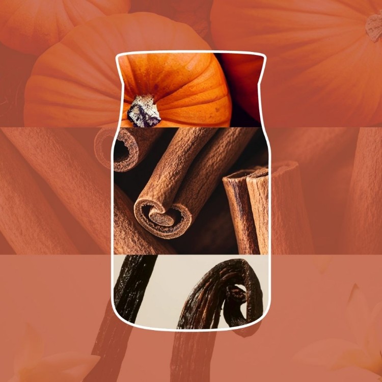 Immagine di Spiced Pumpkin Signature Medium Jar