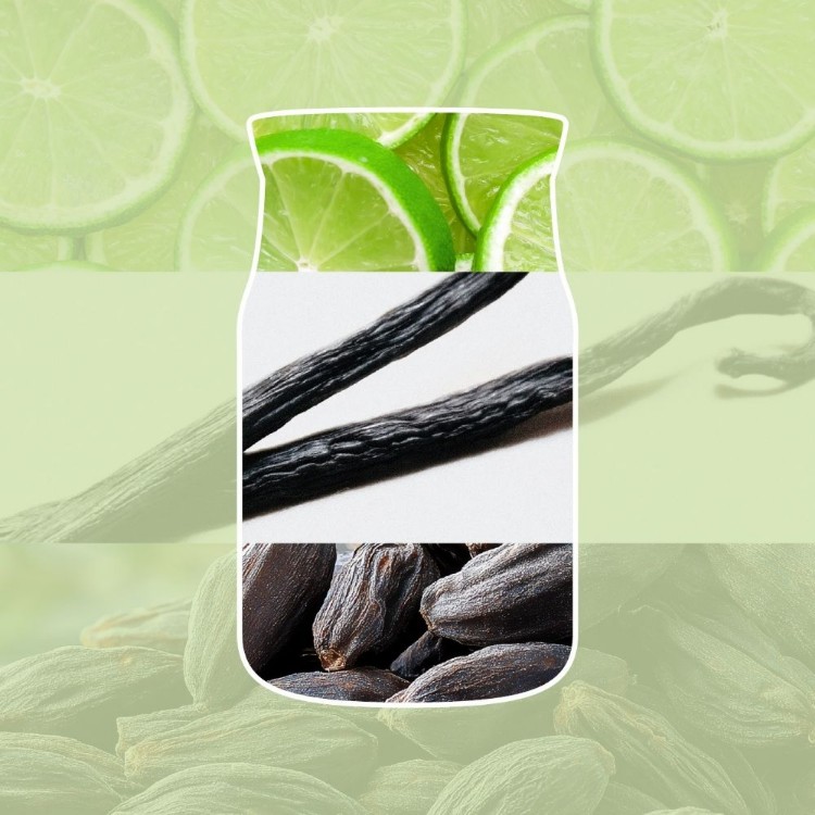 Bild von Vanilla Lime Signature Filled Votive