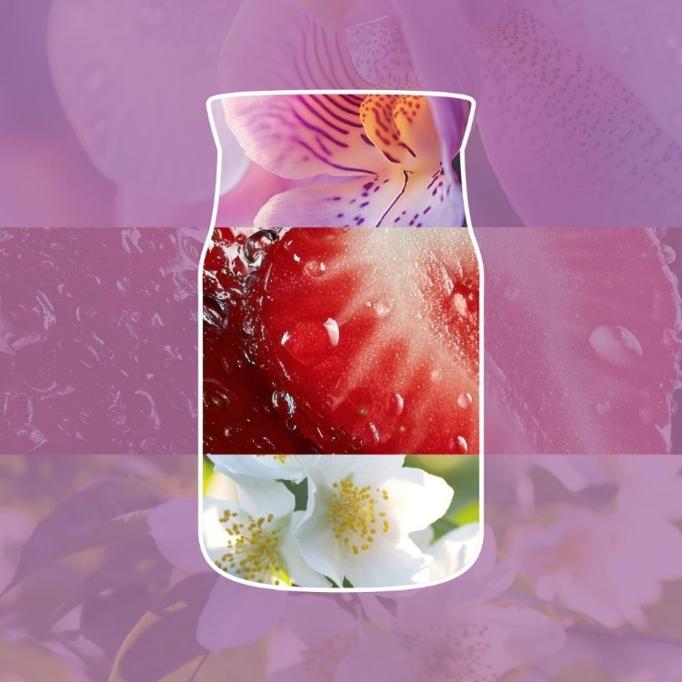 Bild von Wild Orchid Signature Medium Jar