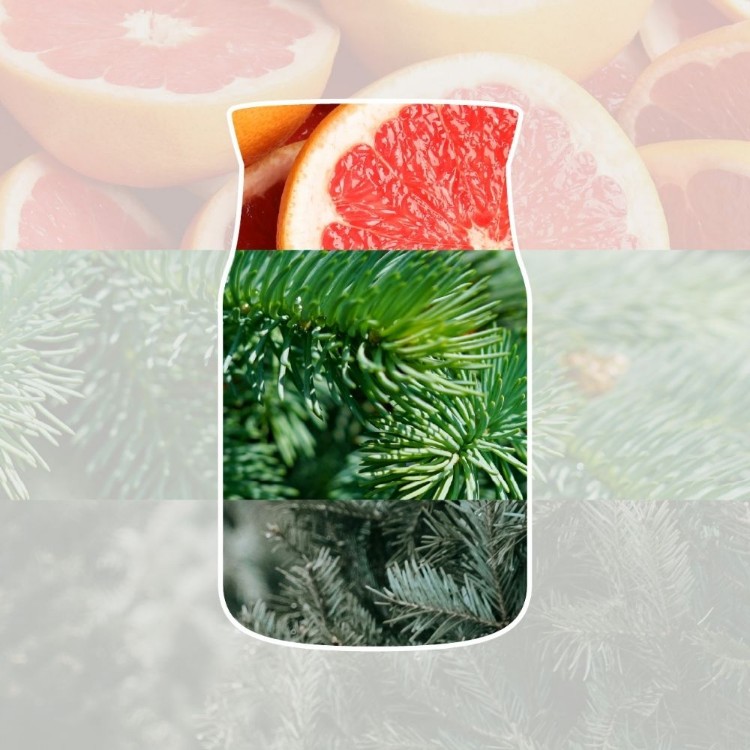 Immagine di White Spruce & Grapefruit Signature Small Jar