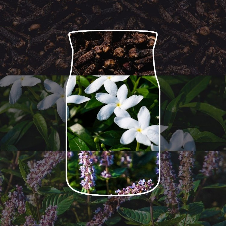 Image de Witches Brew Signature Large Jar